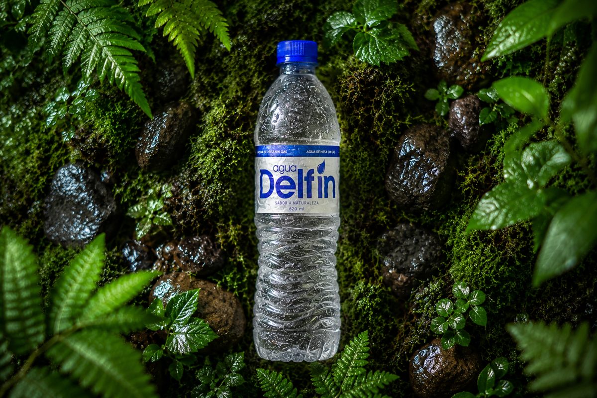 Botella de Agua Delfín de 620 ml rodeada de helechos, musgo y piedras húmedas